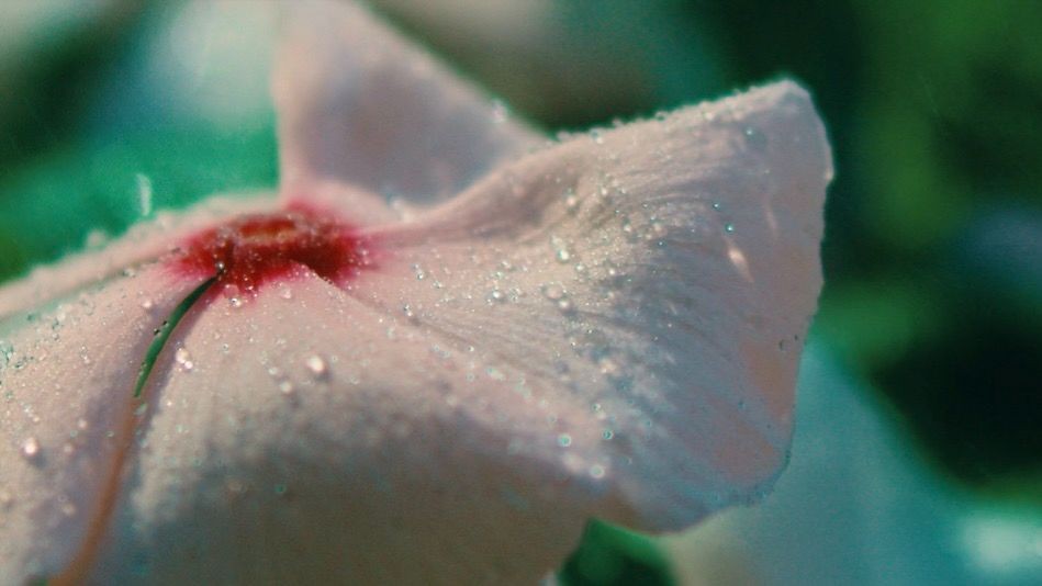 Екатерина Липитенко. Пространство исцеления