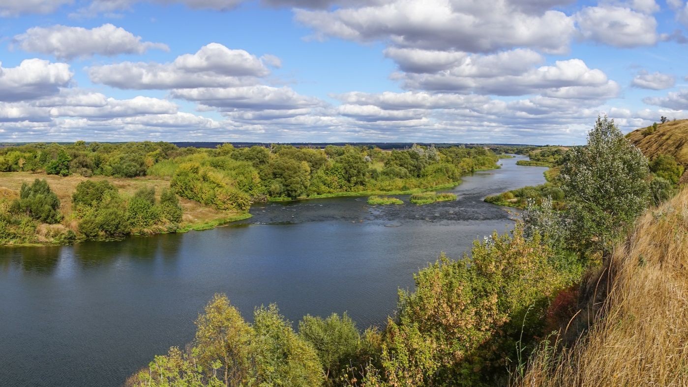 "Сердце отдаю детям"