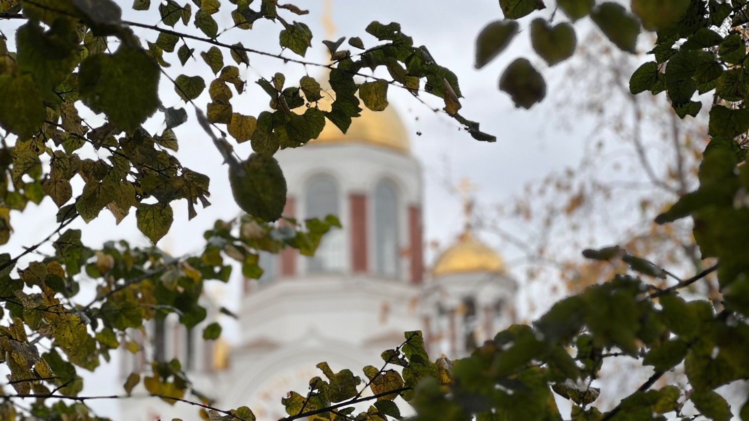 Светлана Перегонцева
