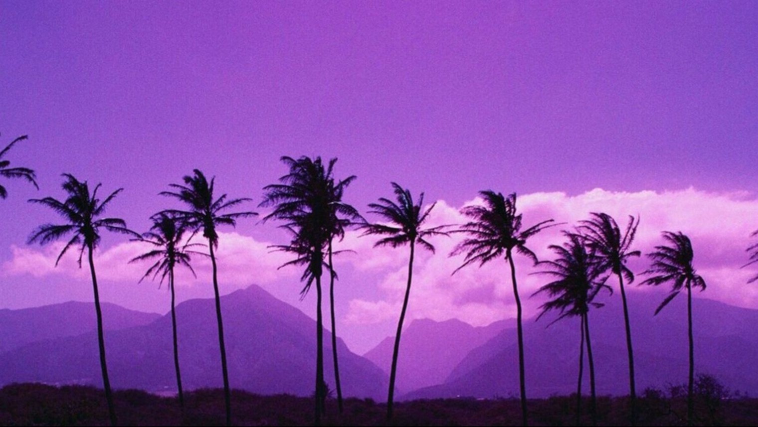 😈Dream Stream😈