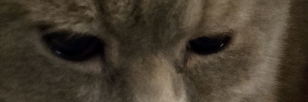 😝Барси-чок❤️🩹