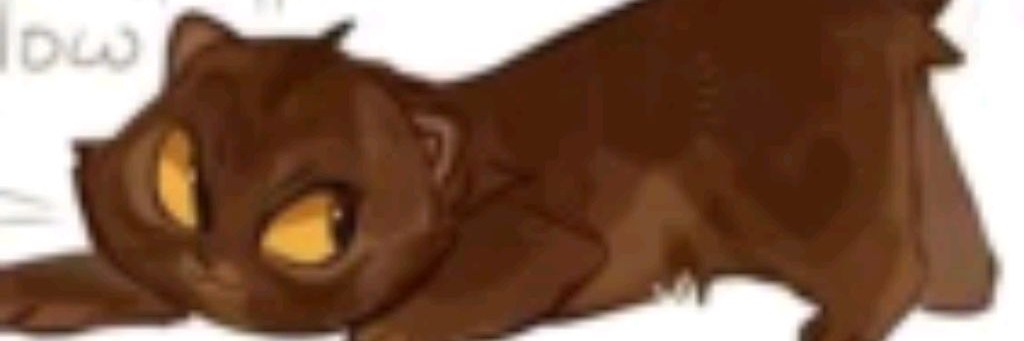 ||😼Сероушка КВ😼||