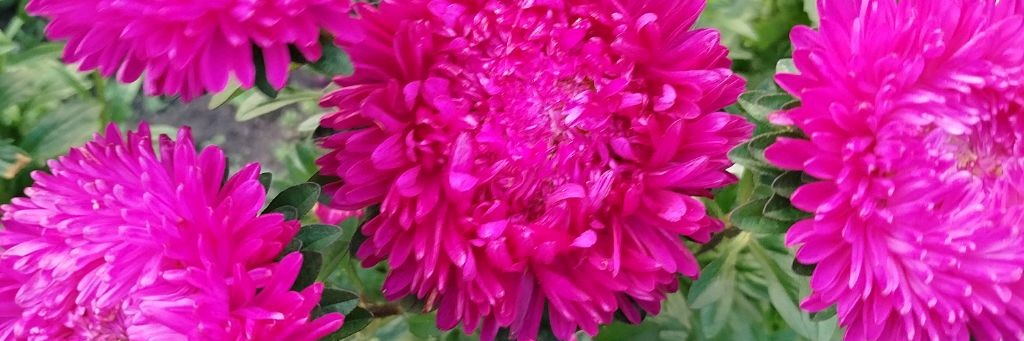 Уютная хижина