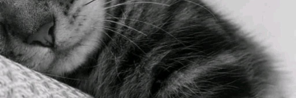 Карина❤️ Легостина