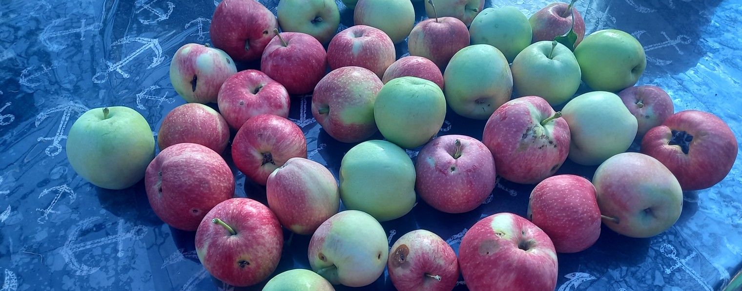 Нинушка Нинулька Нинок