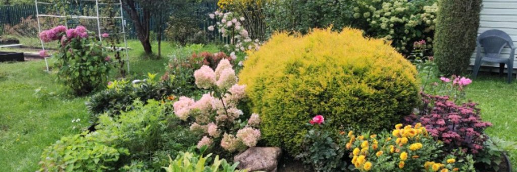 Моя Прекрасная Дача