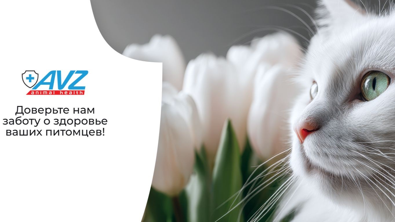 AVZ. Дайджест о здоровье животных
