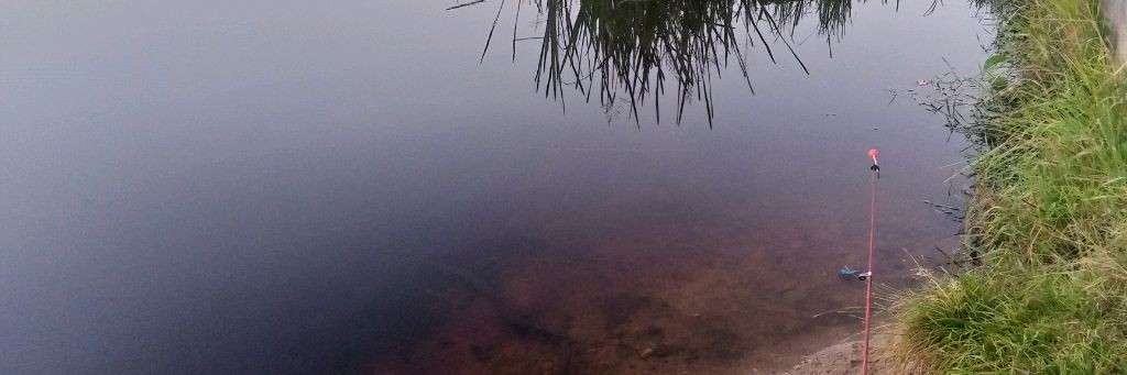 Что,Попало.