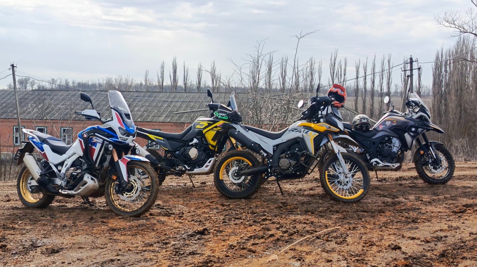 Дима Чёрный