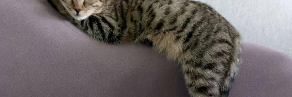 Канал Который Ты Искал