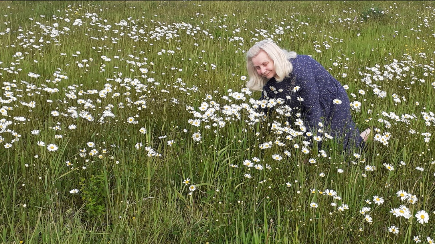 Псковская область.Пушкинские Горы.