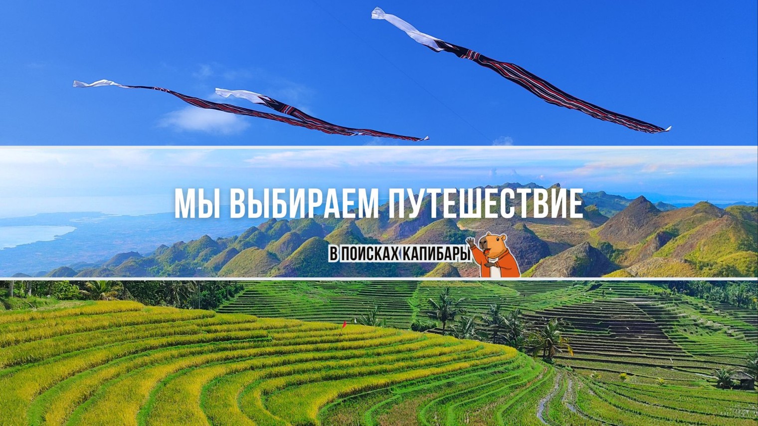 В поисках капибары