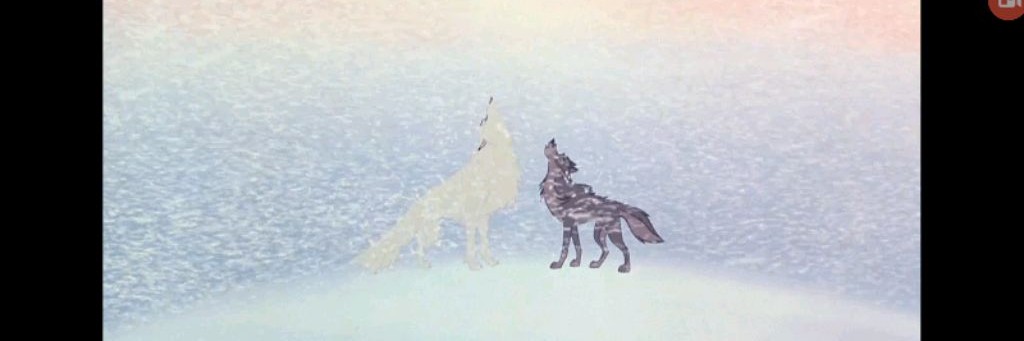 Миллиса: КВ КЛЕНОВНИЦА