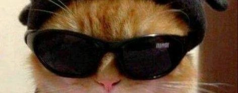 Самые смешные видео Глеба