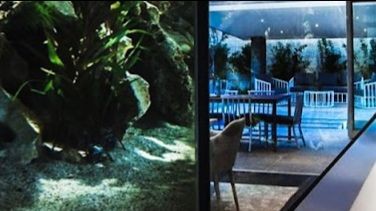 Вячеслав Панасин