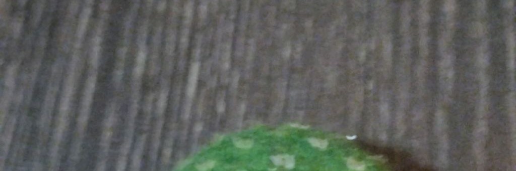 Мистер Недола