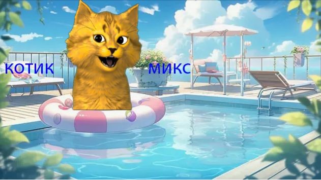 Котик Микс ☑️