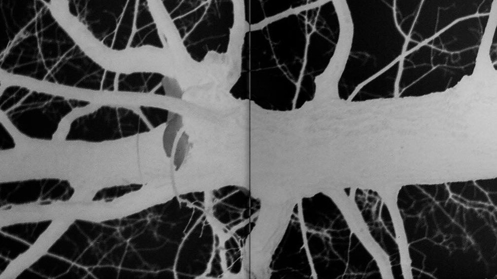 Виктория Г.