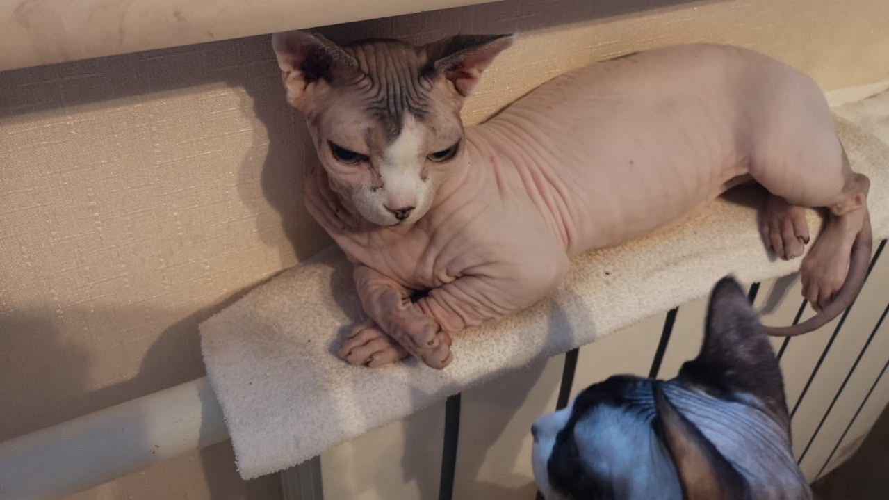 Добряк Сергей