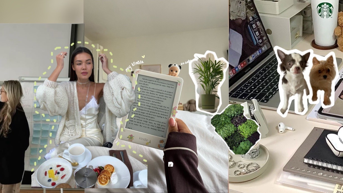 Sanni про будни.⋆🐶🪴˚