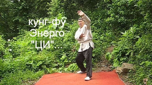Кунг-фу   энерго-"ЦИ" (ЦСВД), Зименков Ген.Н