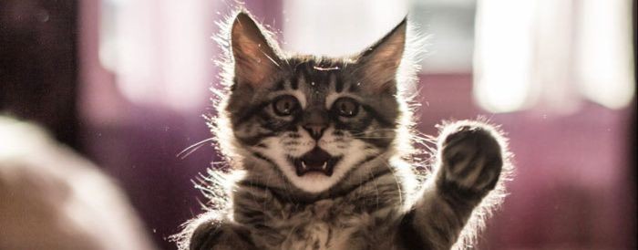 Вместе круче