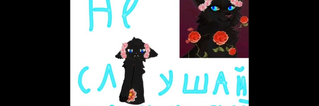 Мёртвый Хвост