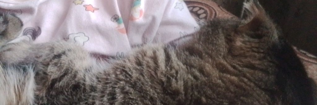 Фан Стича И Лило💙🩵💚