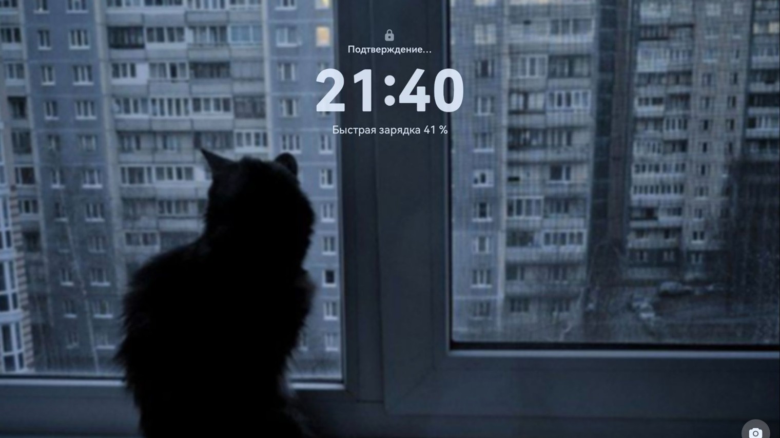 алина алмазова💎