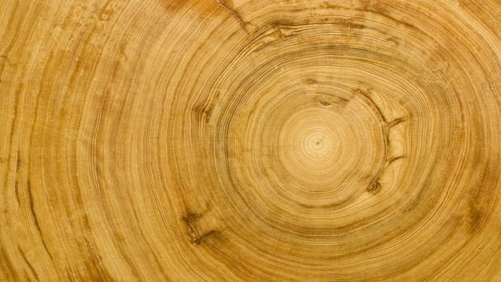 Андрей Боганов