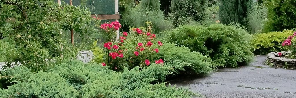 просто о всём.