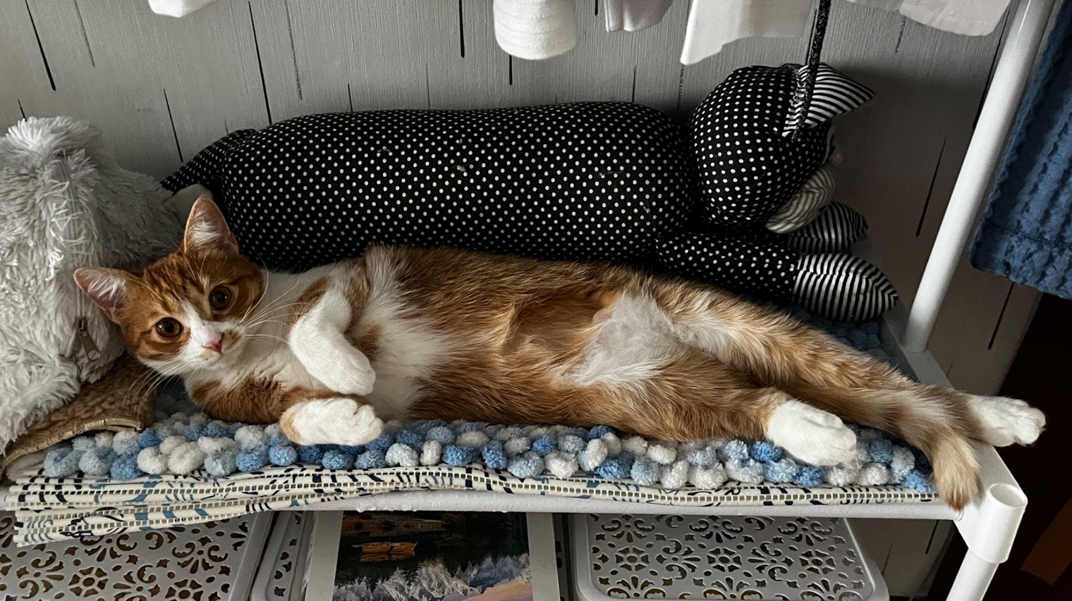 Елена Голышева