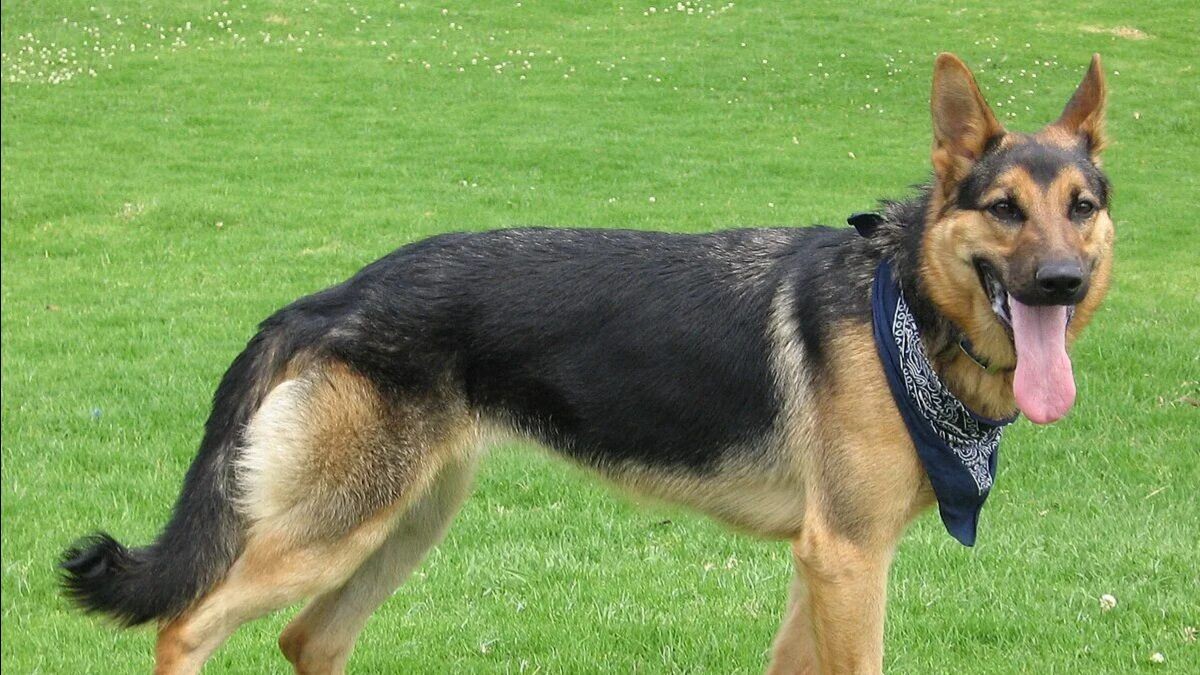 Игры и Мультики