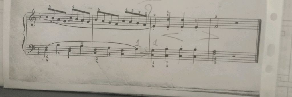 Мишель Комарицких