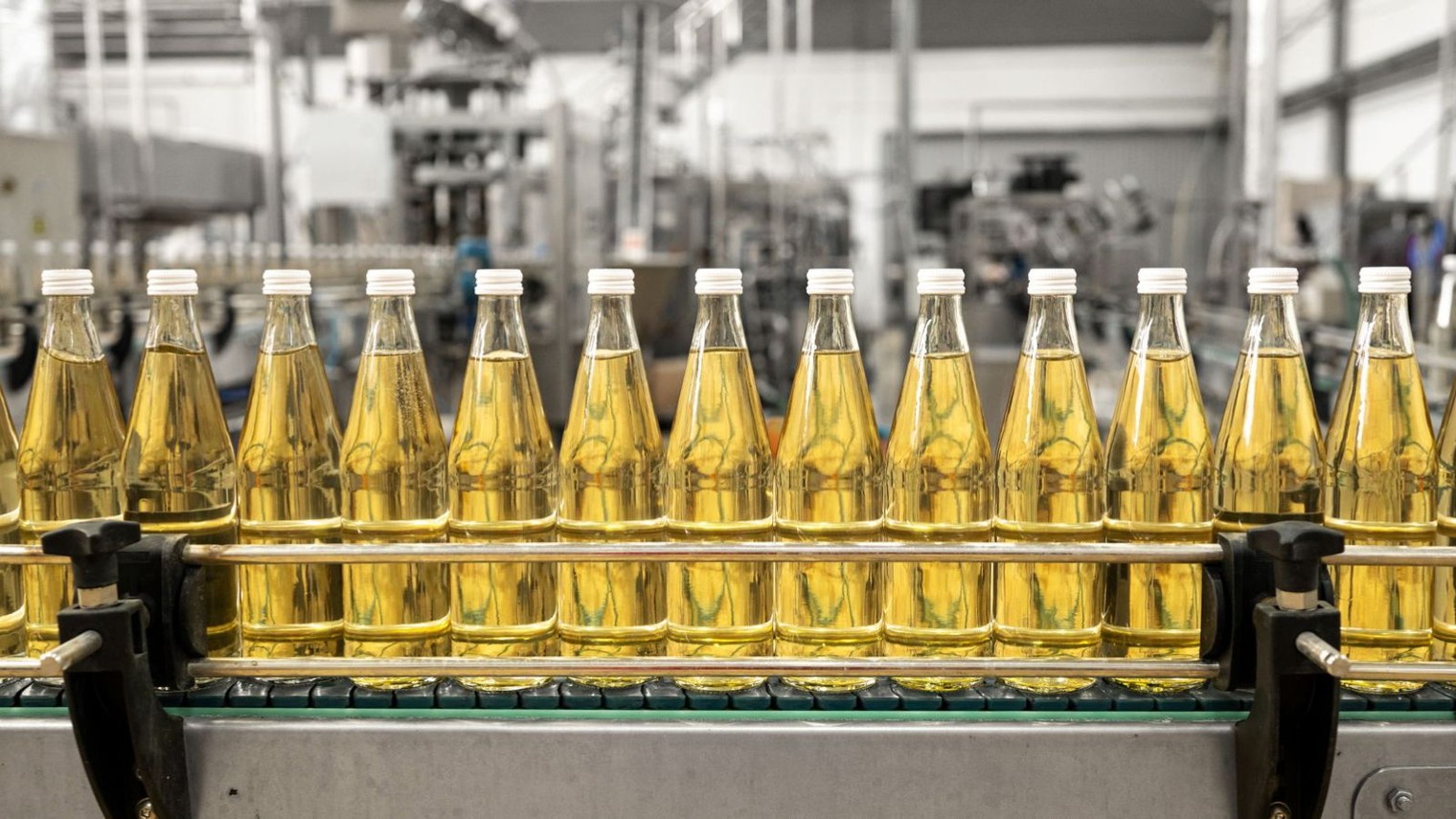 ООО Динской пивоваренный завод | Экспорт напитков