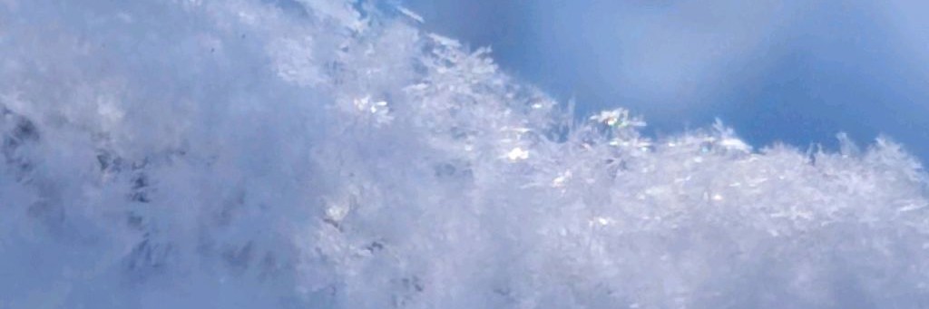 Евгений Яковлев