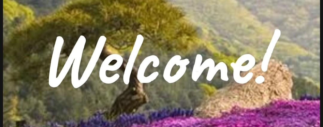 ᯓ[Collins Sisters🌿]