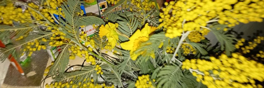 Светлана Тв Канал