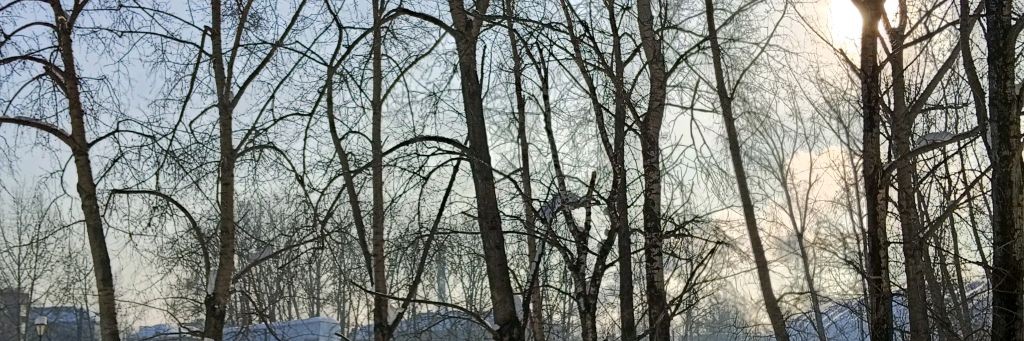АВТОЛЮБИТЕЛЬНИЦА