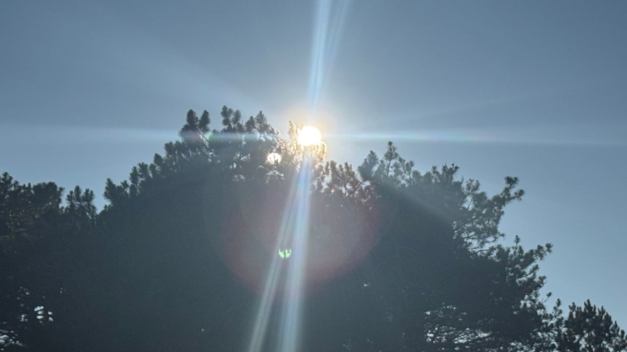 Канал про природу