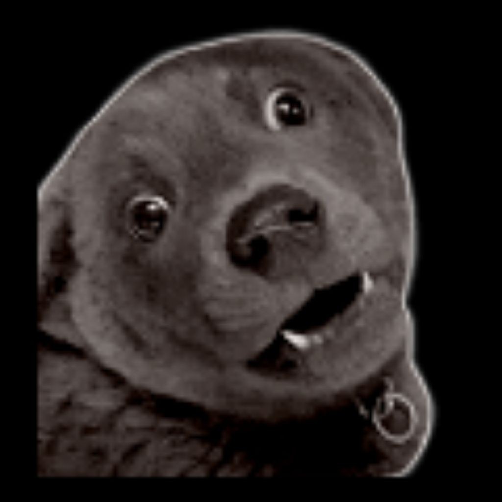 🎨🖌️🫟🤍🩶Wenda Полководец 🎨🖌️🫟🤍🩶♀