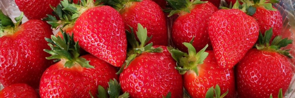 Клубника Волгоград