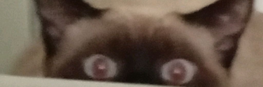 Мухехехе 678