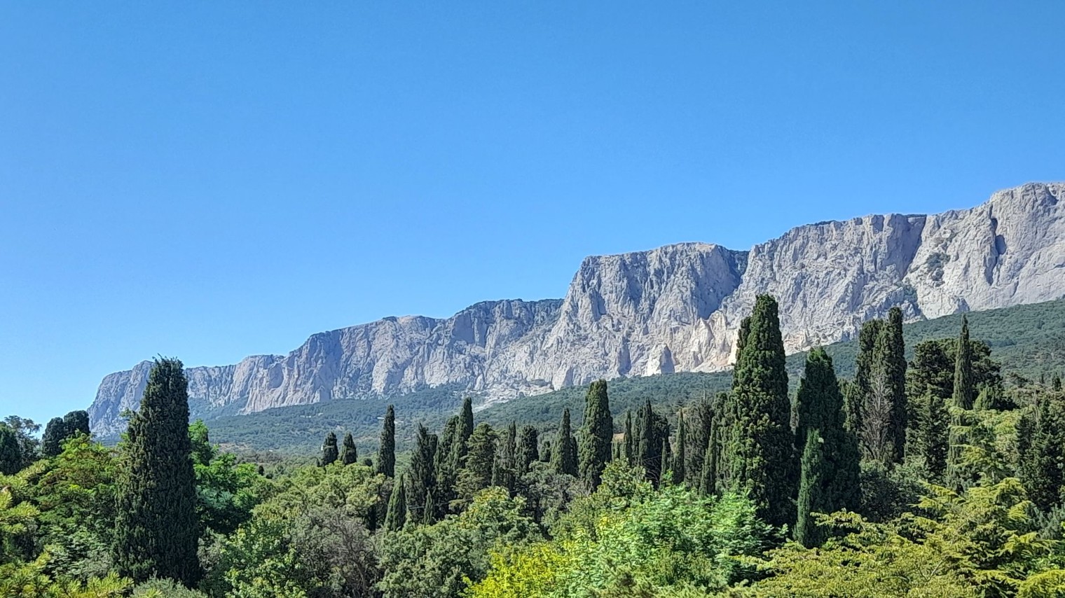 Маджин разнодеятель