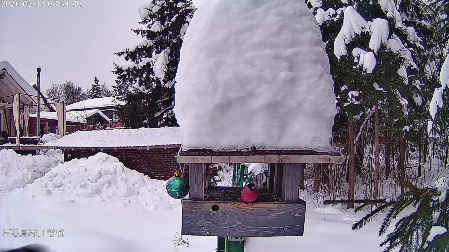 Подмосковная кормушка