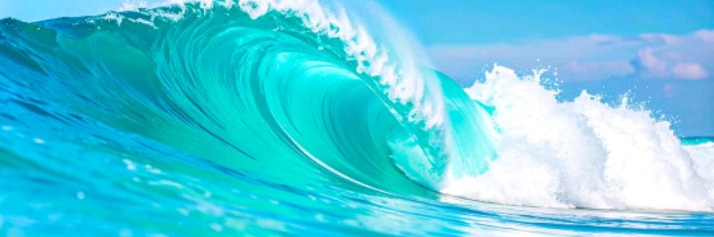 Елена Сердцова