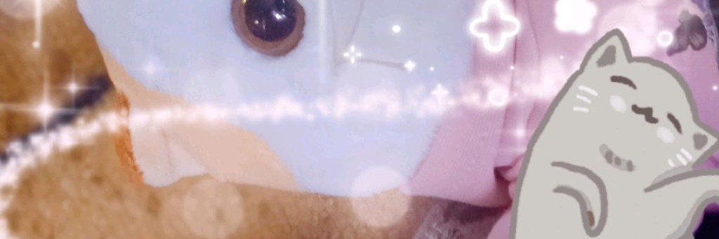 Котики Басики