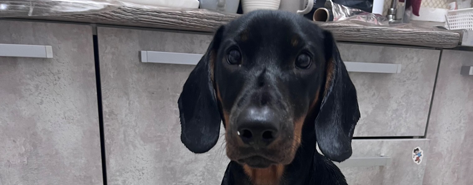 Ксения Пушкина