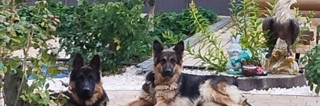 IT'S MY LIFE🇷🇺