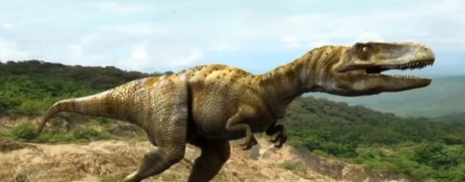 Andriyanov Mark- Марк